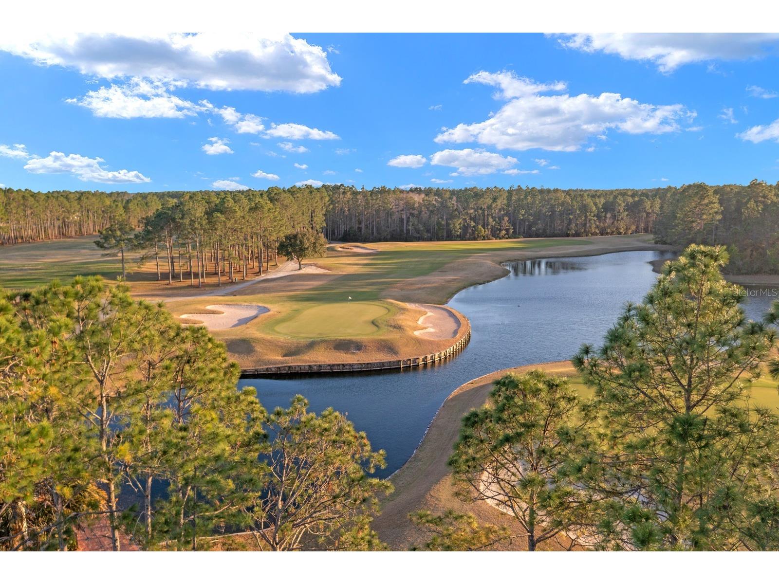 4588 Golf Brook Road Orange Park FL 32065 TB8483241 image42