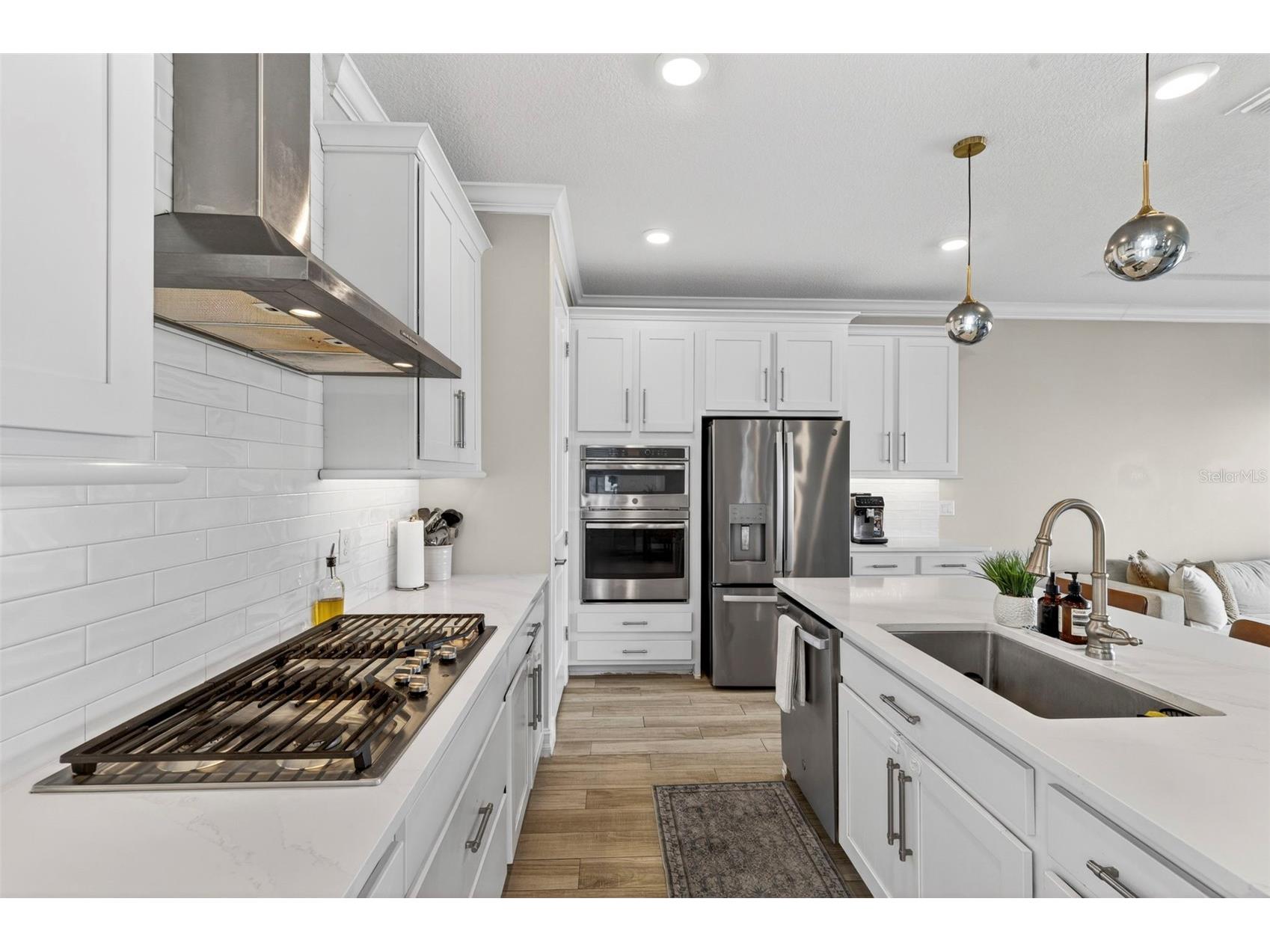 4588 San Martino Drive Wesley Chapel FL 33543 TB8502246 image13