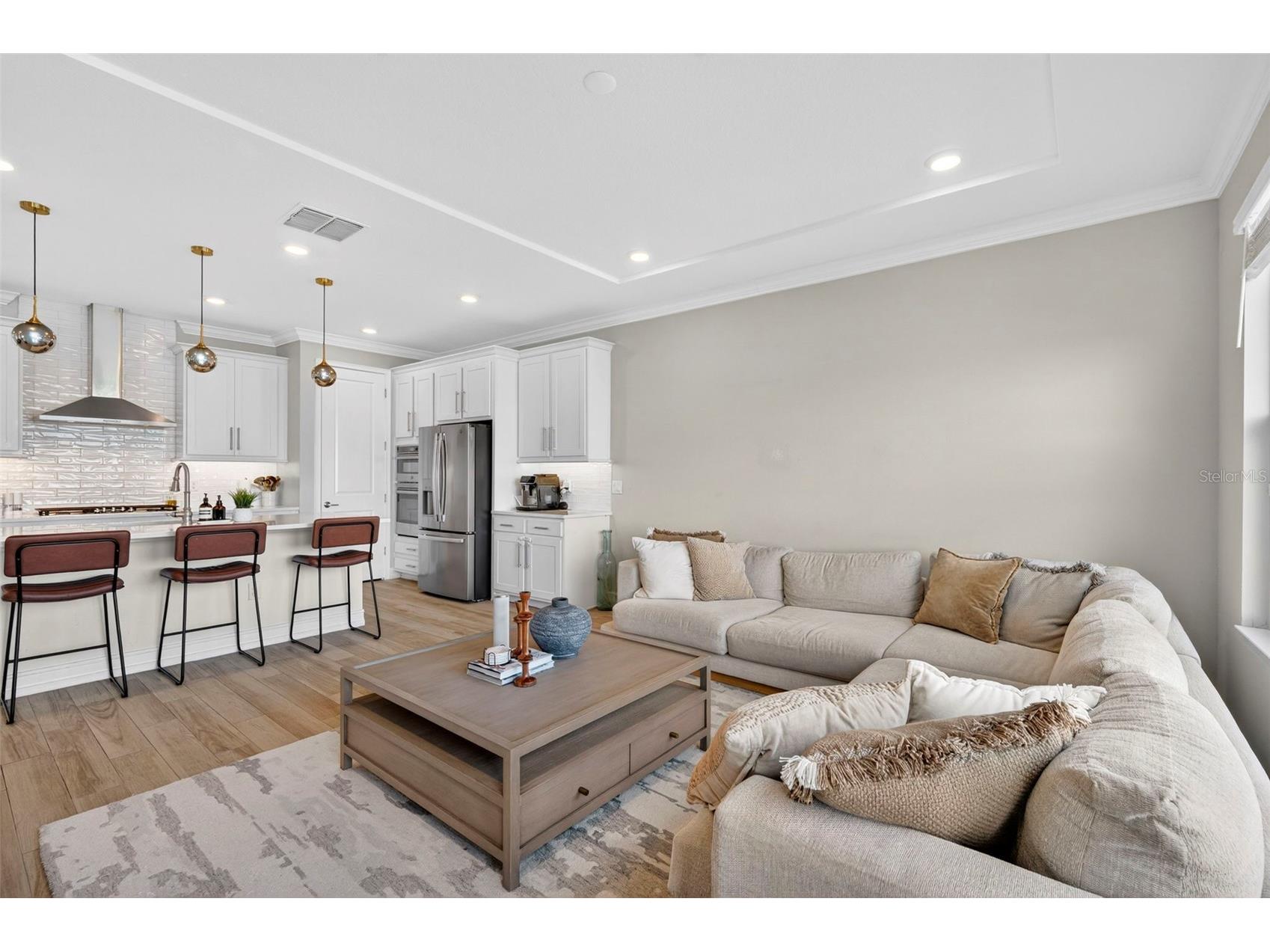 4588 San Martino Drive Wesley Chapel FL 33543 TB8502246 image23