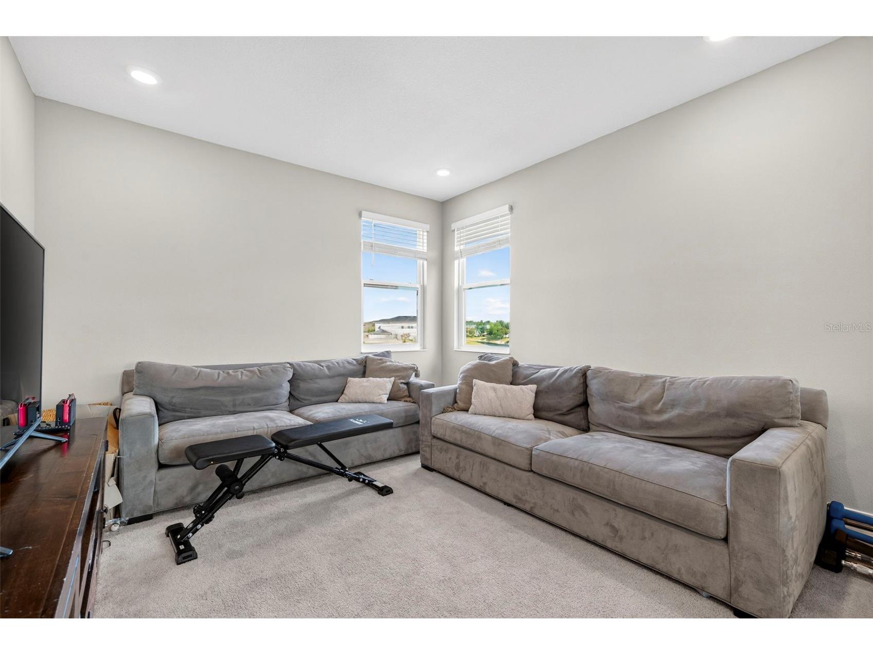 4588 San Martino Drive Wesley Chapel FL 33543 TB8502246 image37