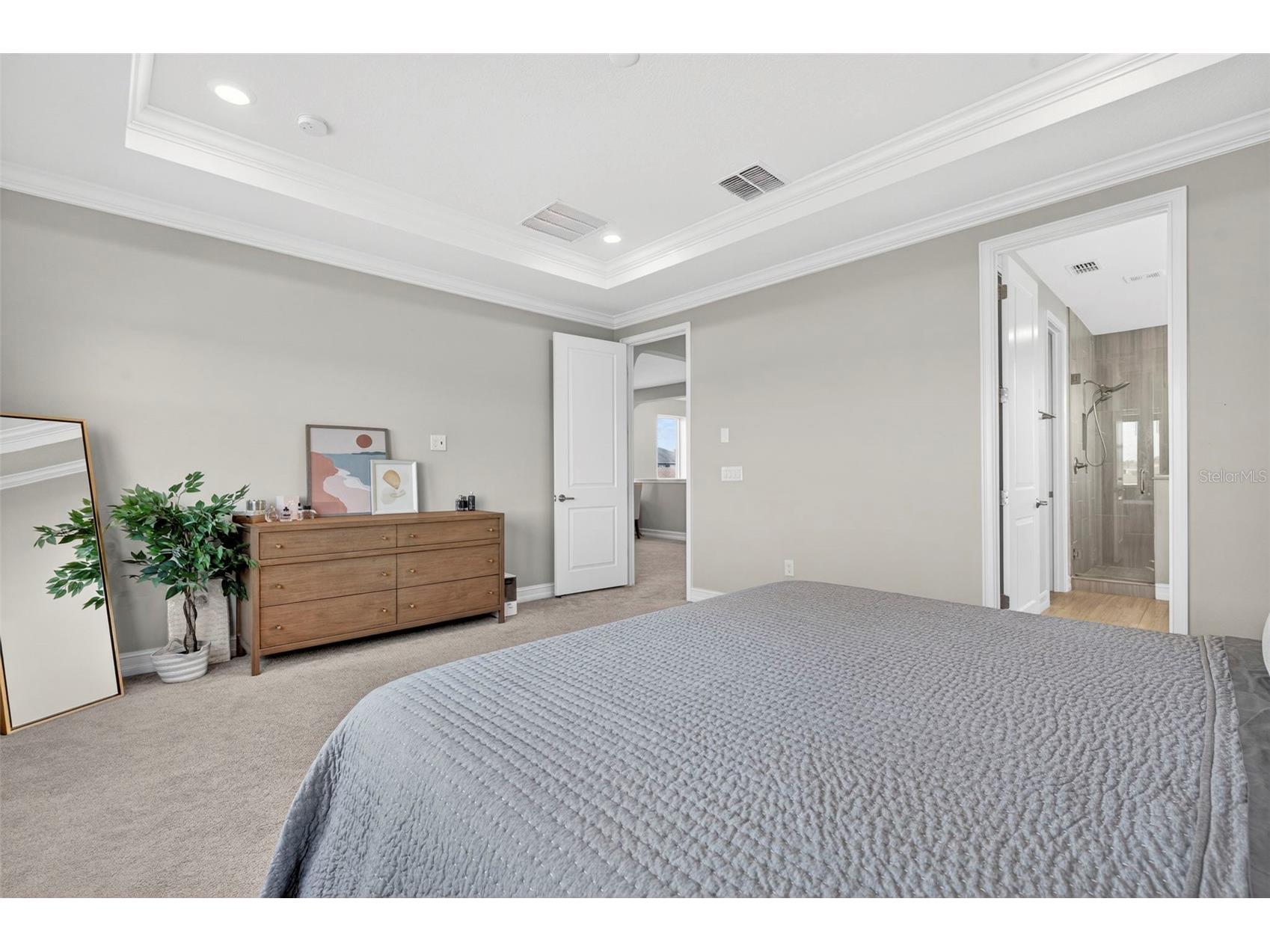 4588 San Martino Drive Wesley Chapel FL 33543 TB8502246 image42