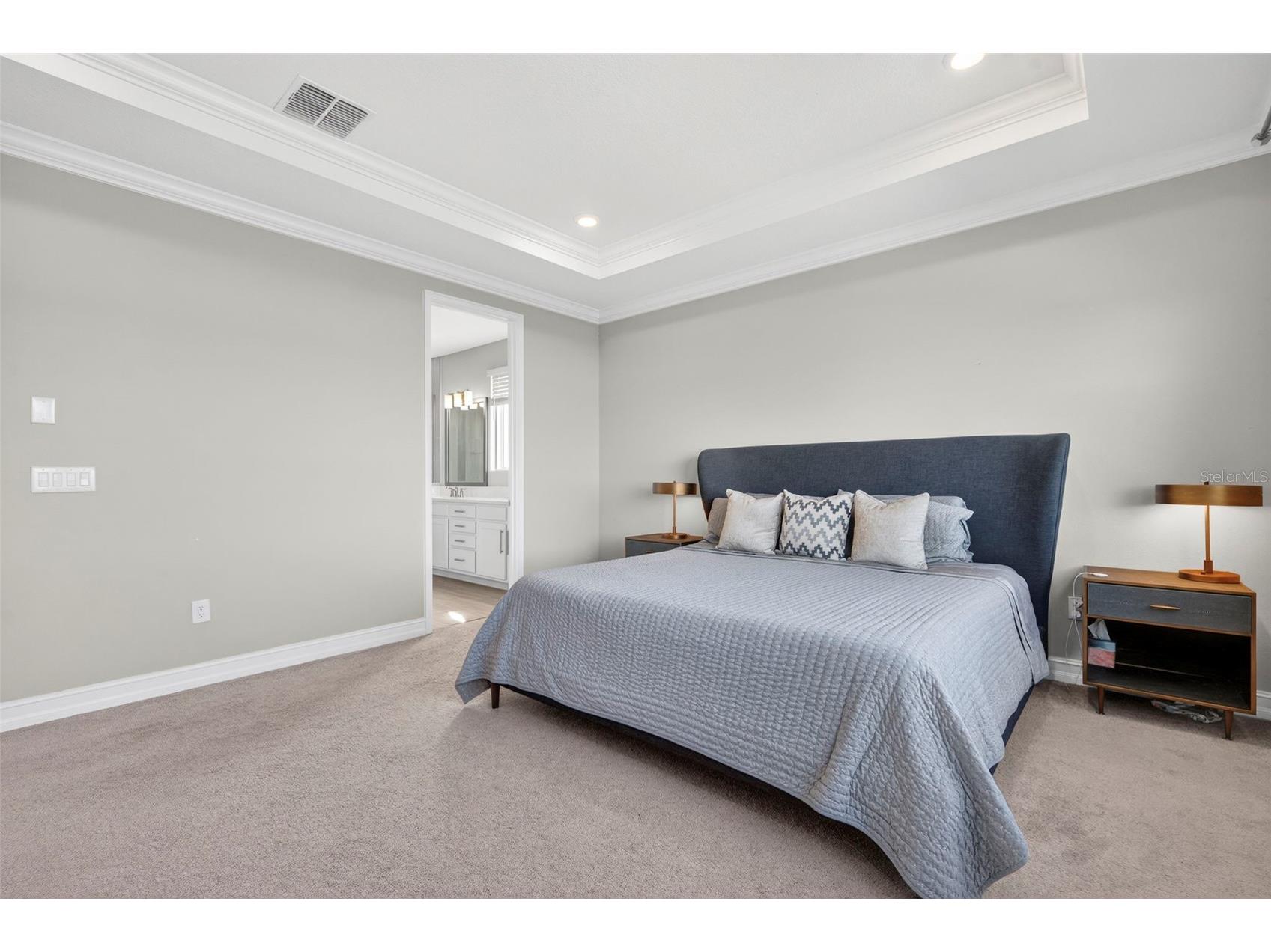 4588 San Martino Drive Wesley Chapel FL 33543 TB8502246 image43