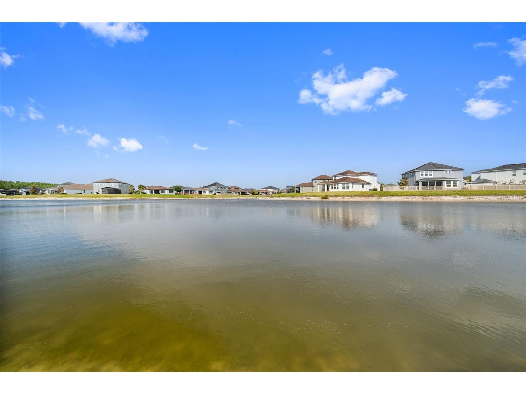 4588 San Martino Drive Wesley Chapel FL 33543 TB8502246 image49