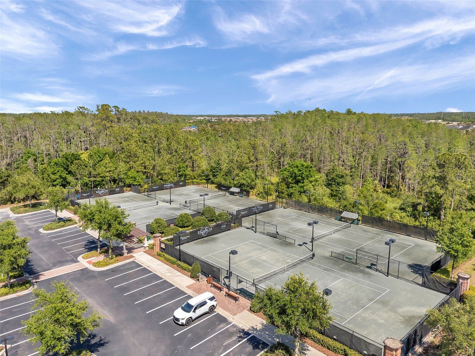 4588 San Martino Drive Wesley Chapel FL 33543 TB8502246 image59