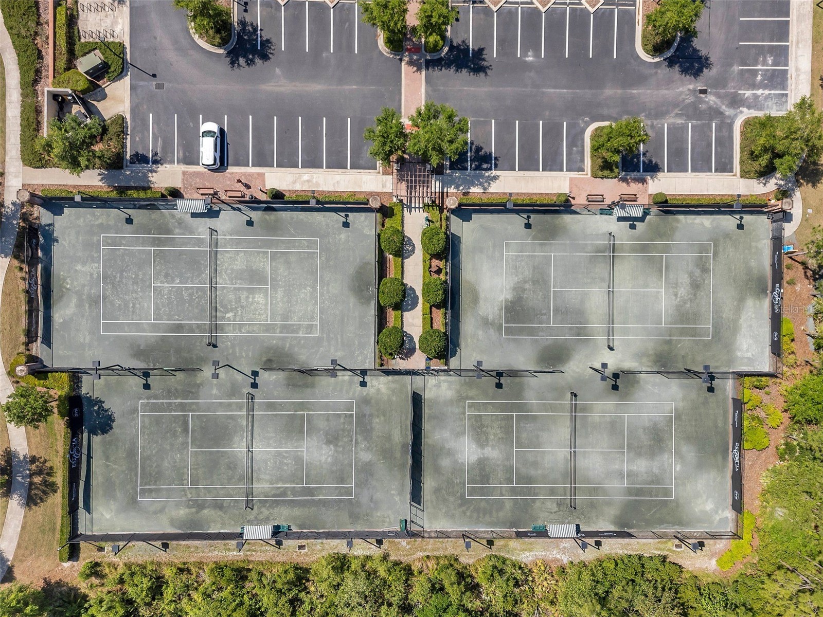 4588 San Martino Drive Wesley Chapel FL 33543 TB8502246 image63