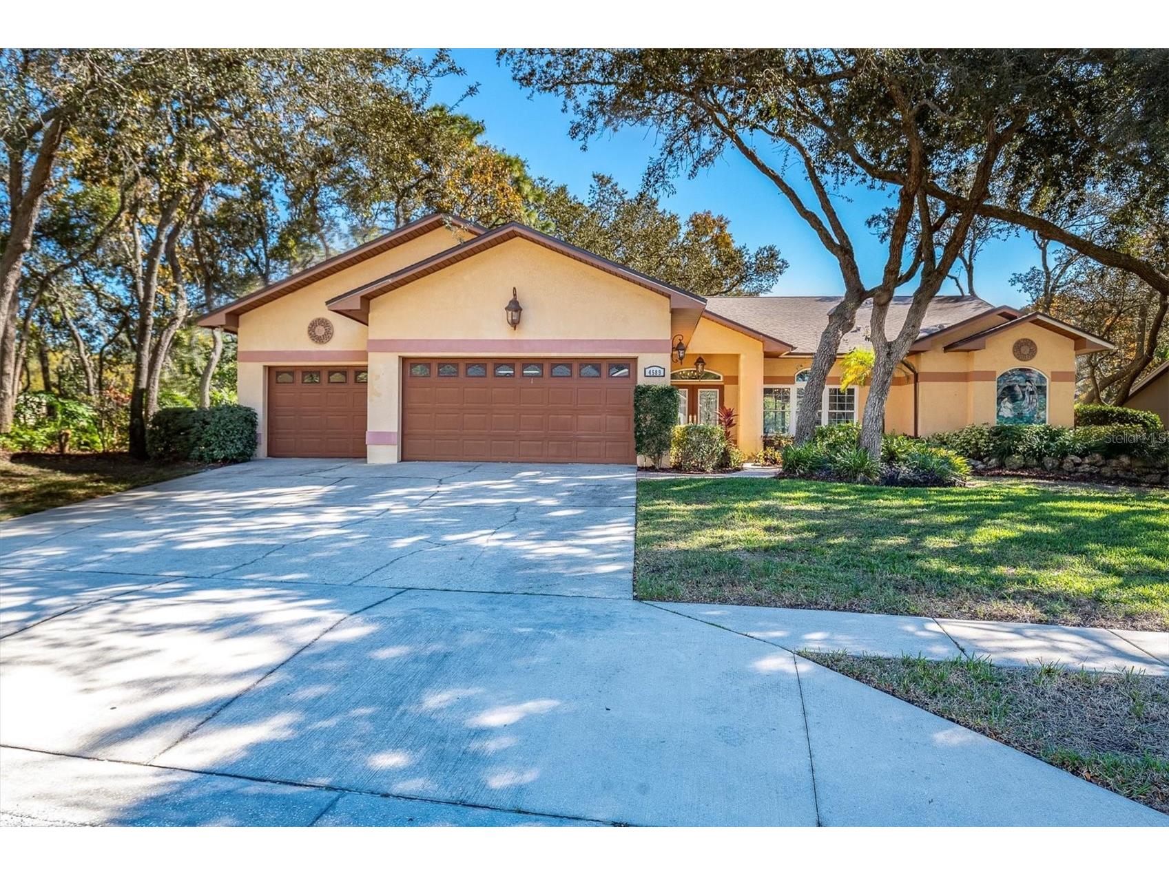 4589 Glenbrook Circle Palm Harbor FL 34683 TB8456996 image1