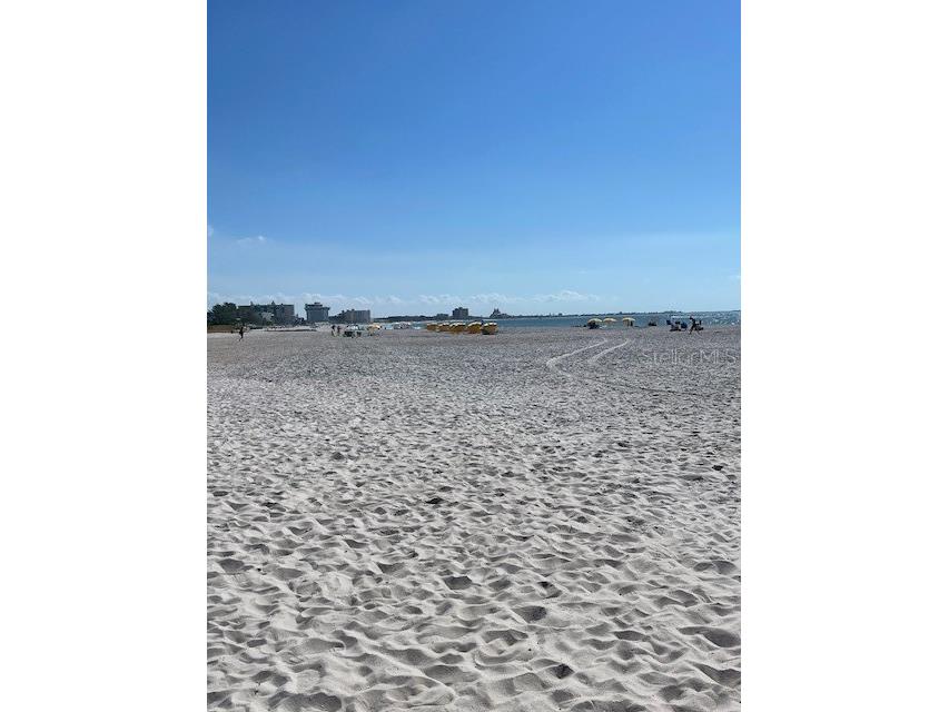 459 87th Avenue Saint Pete Beach FL 33706 TB8446775 image39