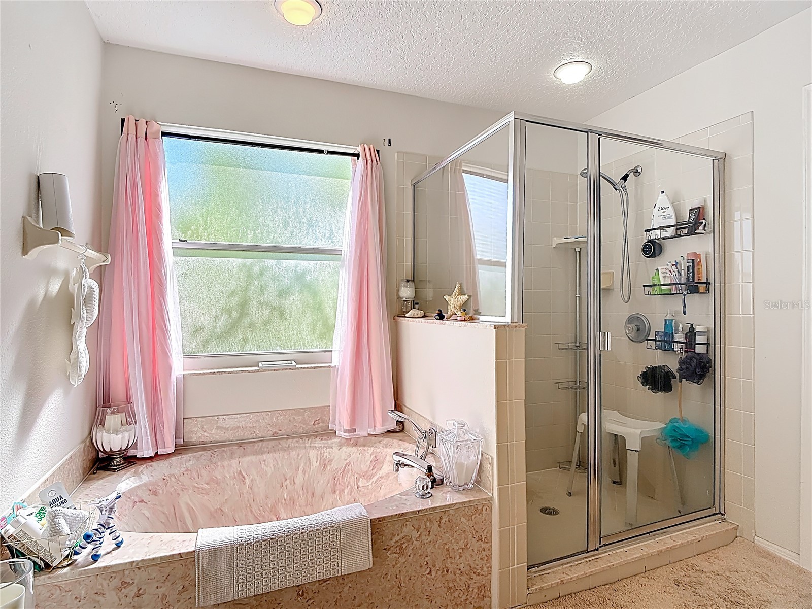 459 Ballyshannon Drive Davenport FL 33897 G5109802 image15