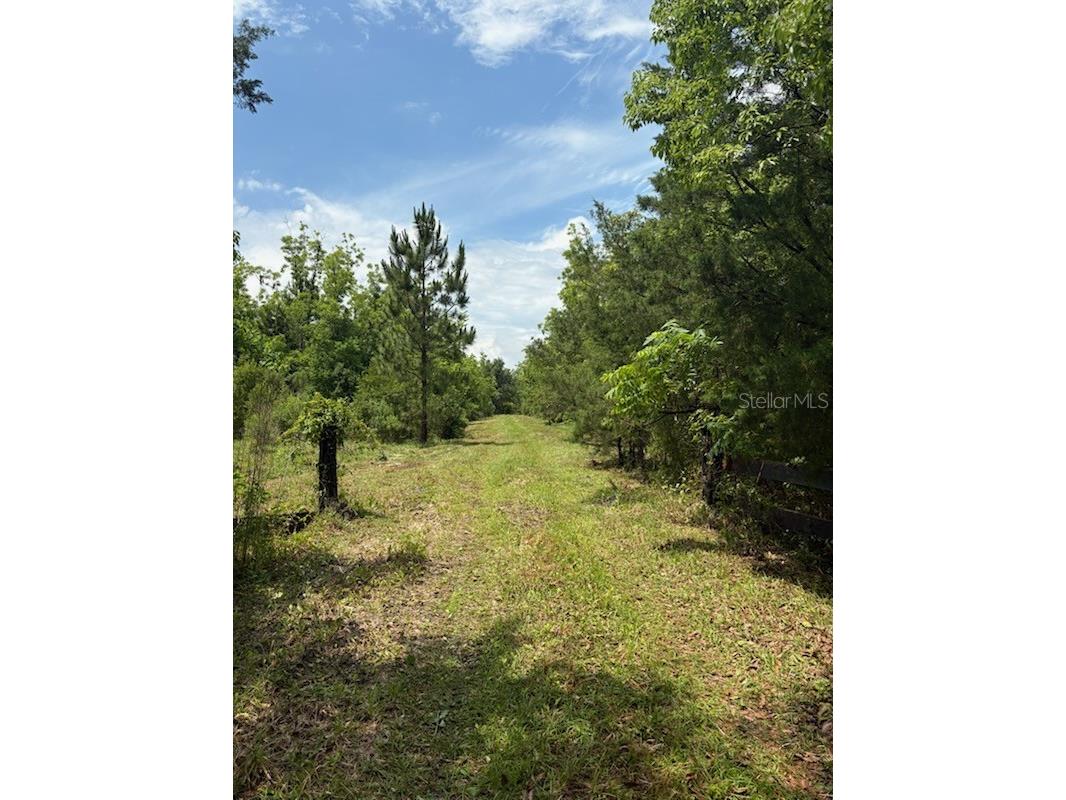 459 County Road 2006 E Bunnell FL 32110 FC318493 image1