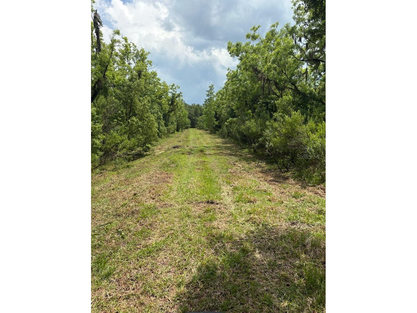 459 County Road 2006 E Bunnell FL 32110 FC318493 image2