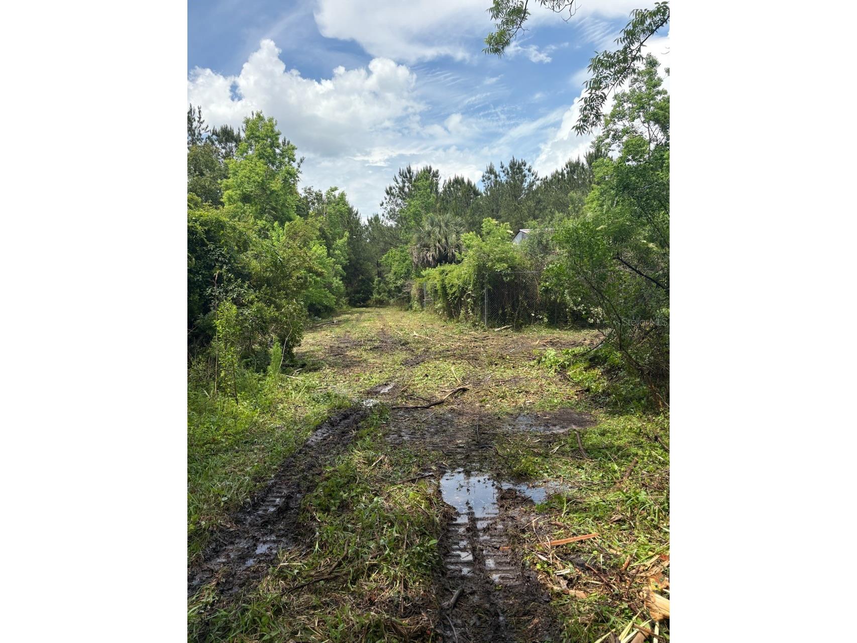 459 County Road 2006 E Bunnell FL 32110 FC318493 image3