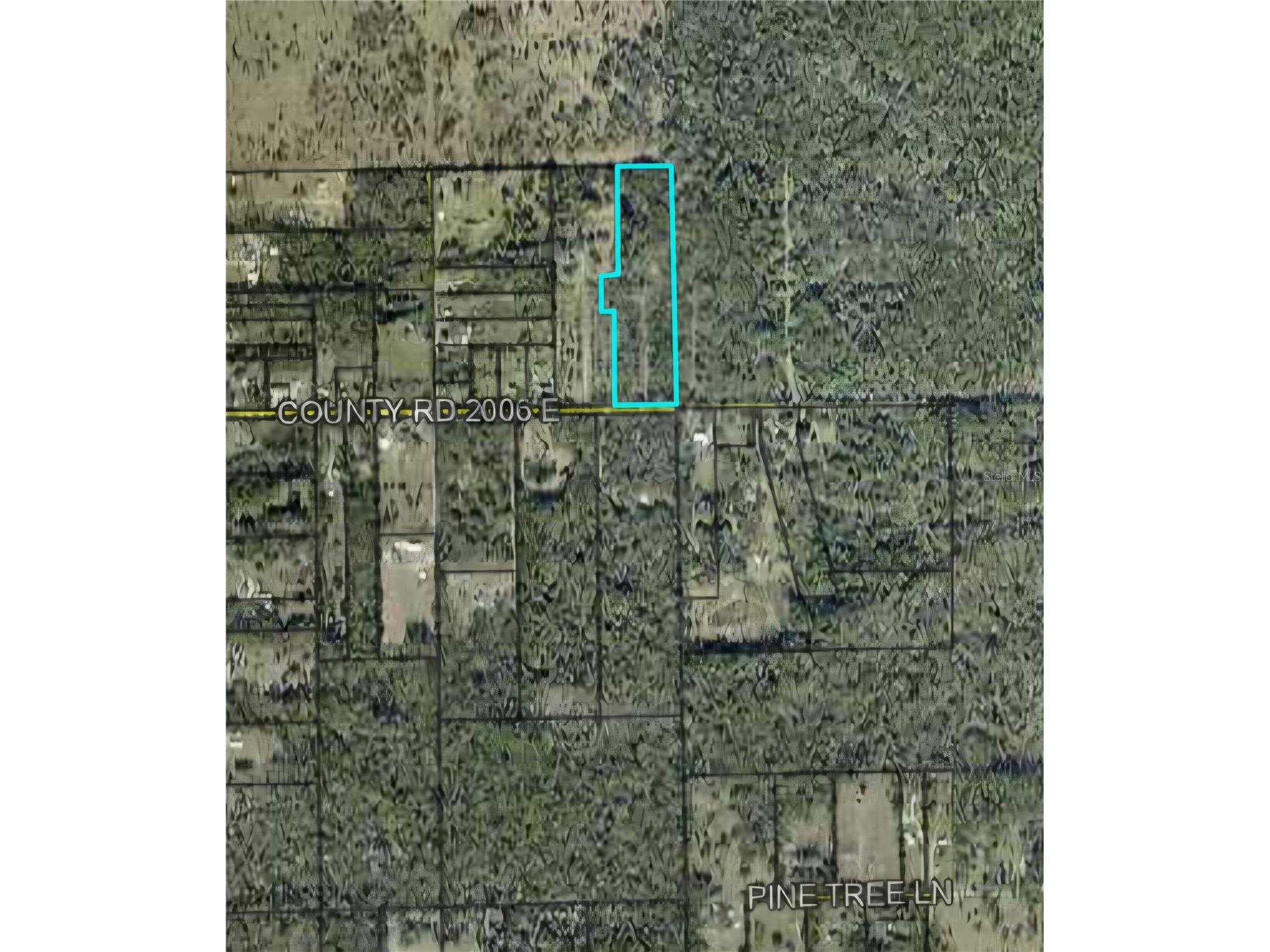 459 County Road 2006 E Bunnell FL 32110 FC318493 image4