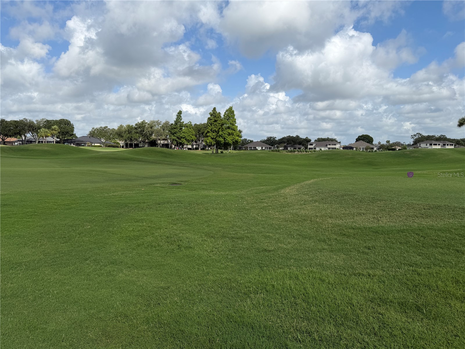 459 Enclave Place #459 Lakeland FL 33803 L4962183 image53