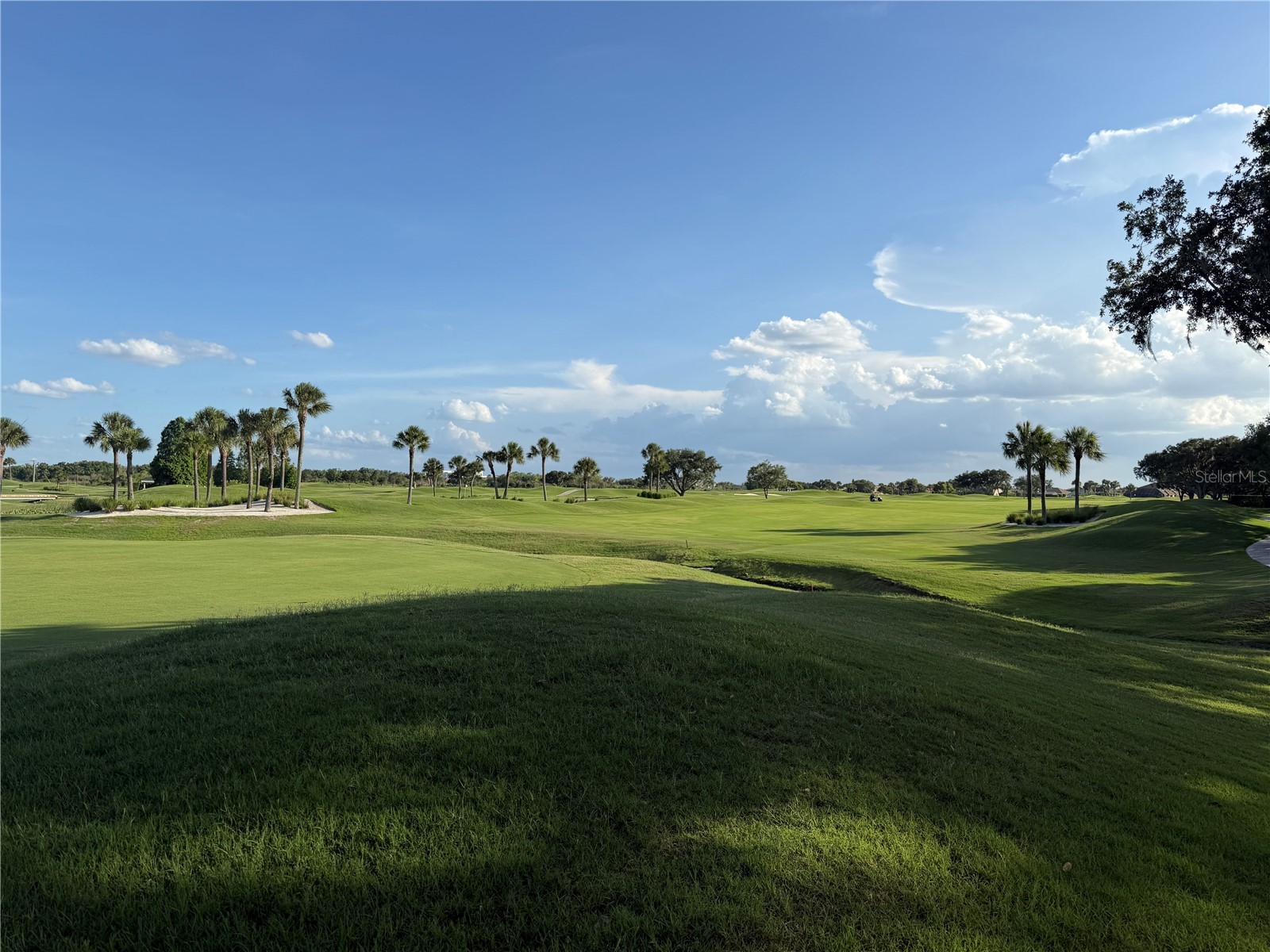 459 Enclave Place #459 Lakeland FL 33803 L4962183 image54