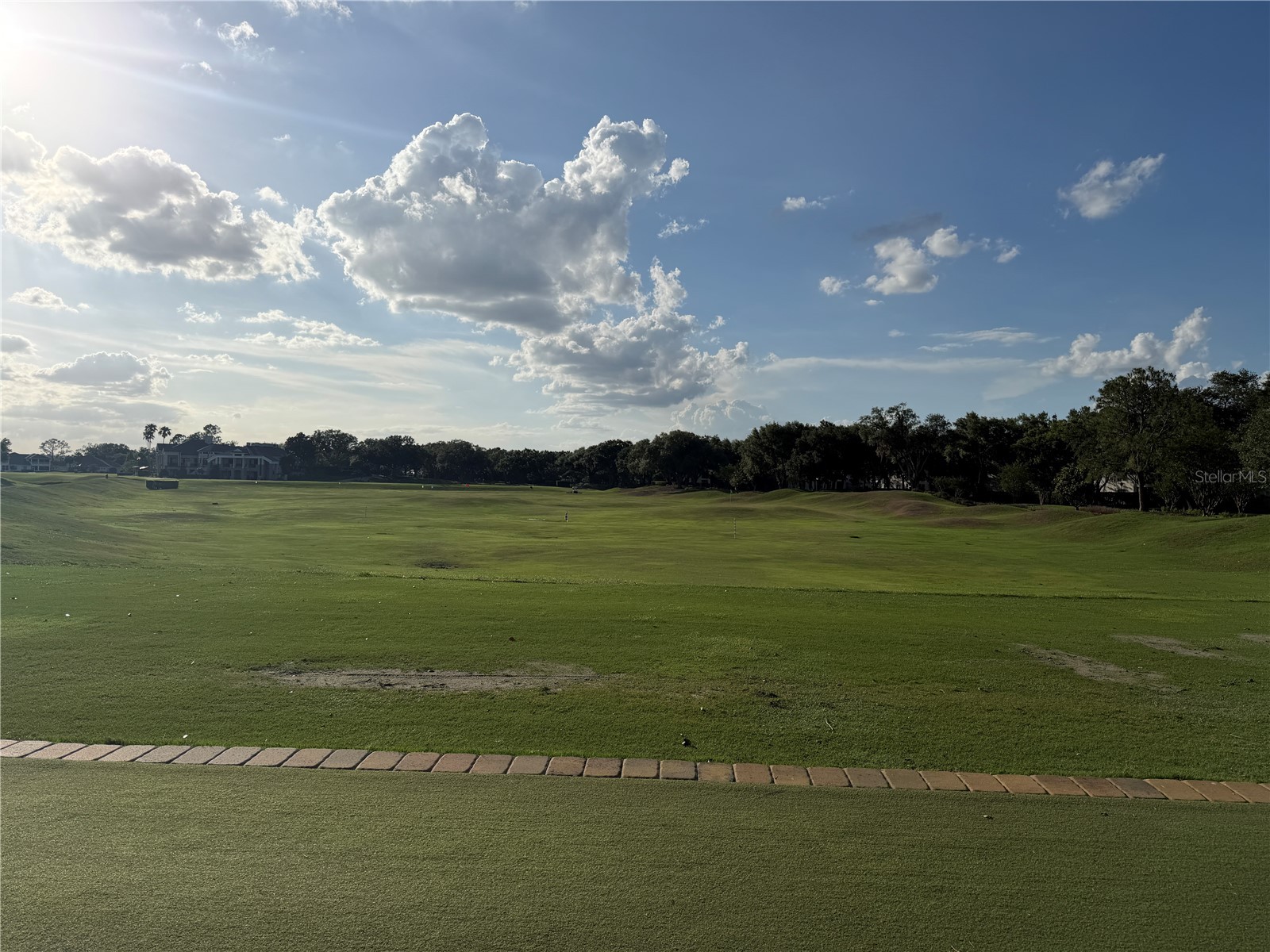 459 Enclave Place #459 Lakeland FL 33803 L4962183 image55