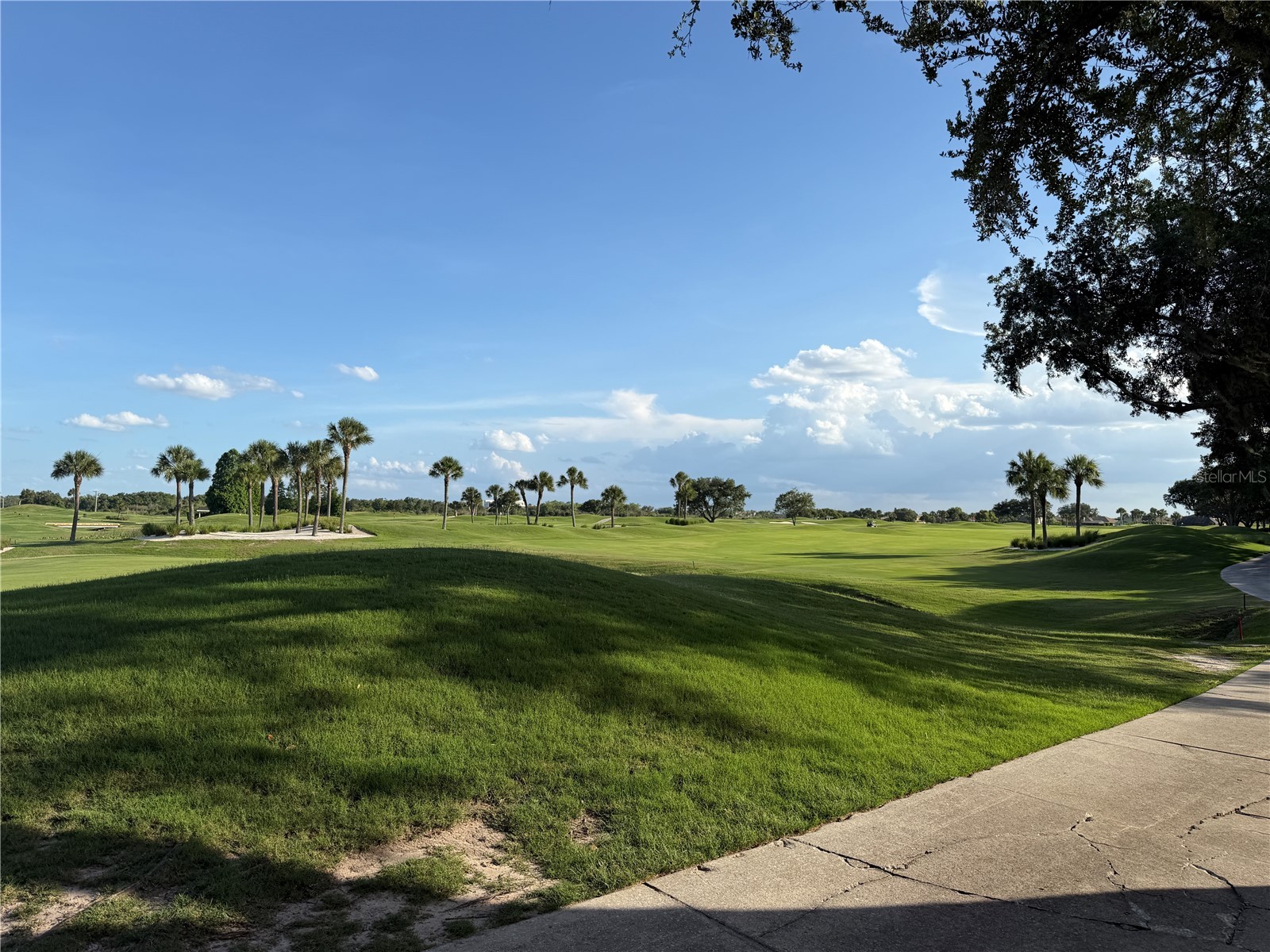 459 Enclave Place #459 Lakeland FL 33803 L4962183 image62