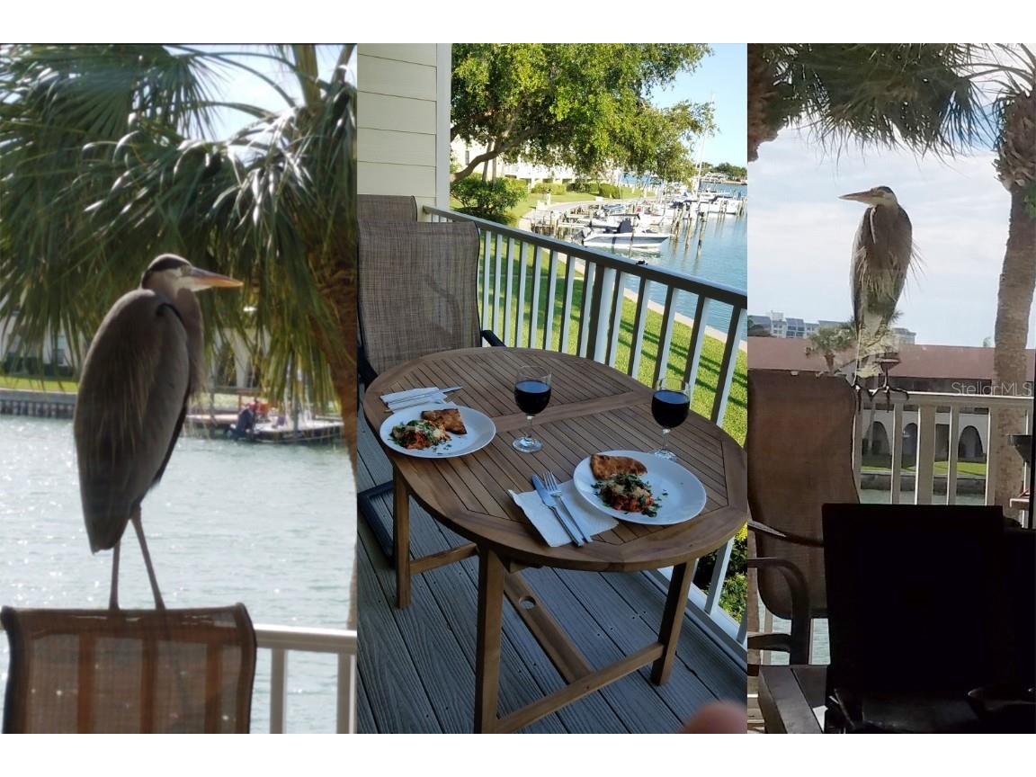 459 Haven Point Drive Treasure Island FL 33706 - INTRACOASTAL WATERWAY TB8401829 image11