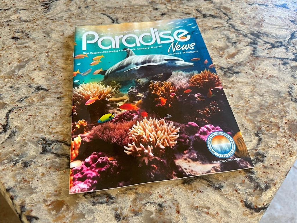 459 Haven Point Drive Treasure Island FL 33706 - INTRACOASTAL WATERWAY TB8401829 image32