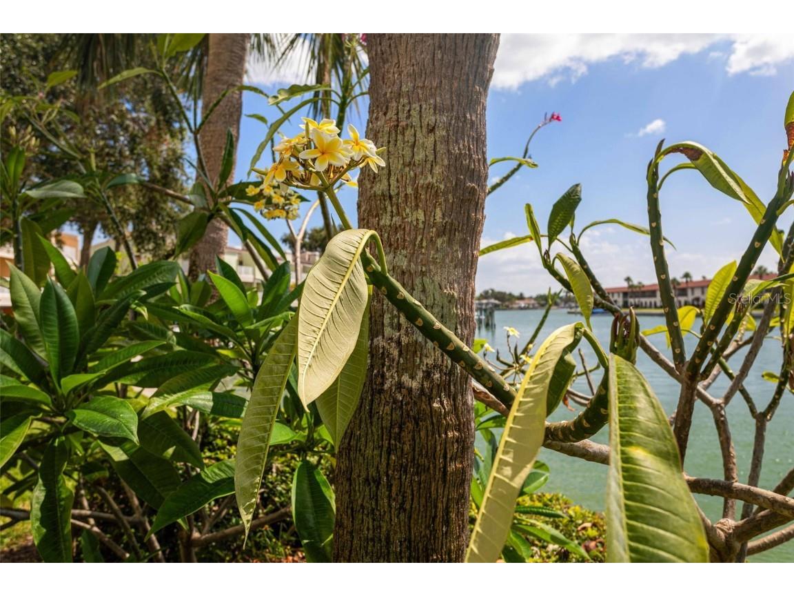 459 Haven Point Drive Treasure Island FL 33706 - INTRACOASTAL WATERWAY TB8401829 image78