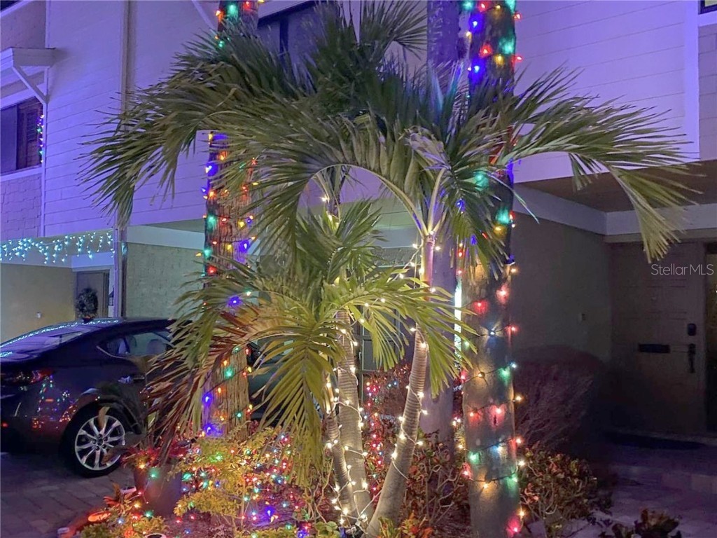 459 Haven Point Drive Treasure Island FL 33706 - INTRACOASTAL WATERWAY TB8401829 image91