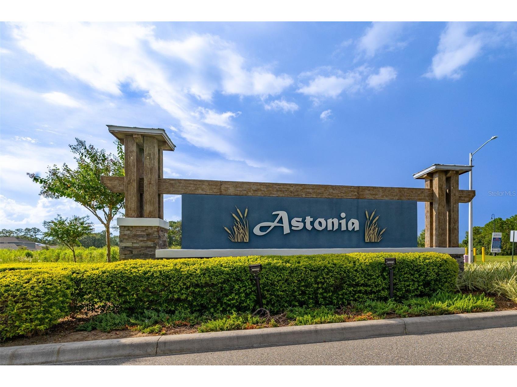 459 Lily Lane Davenport FL 33837 S5135690 image47