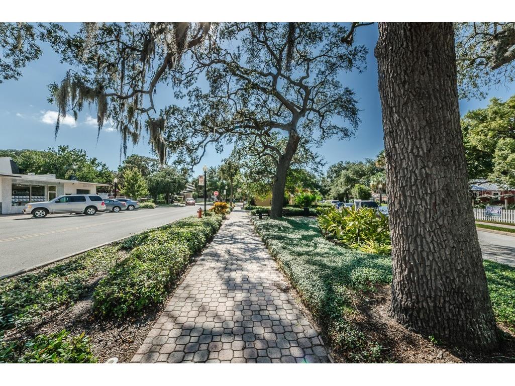 459 Main Street #B Dunedin FL 34698 TB8361959 image26