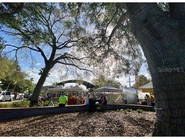 459 Main Street #B Dunedin FL 34698 TB8361959 image27