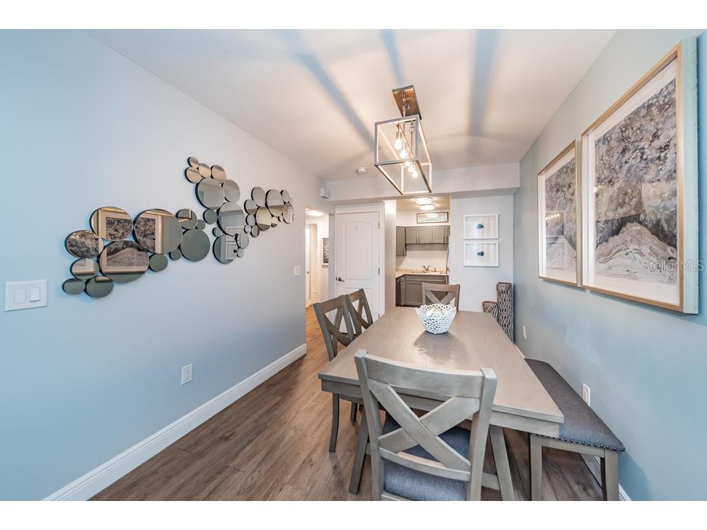 459 Main Street #B Dunedin FL 34698 TB8361959 image8