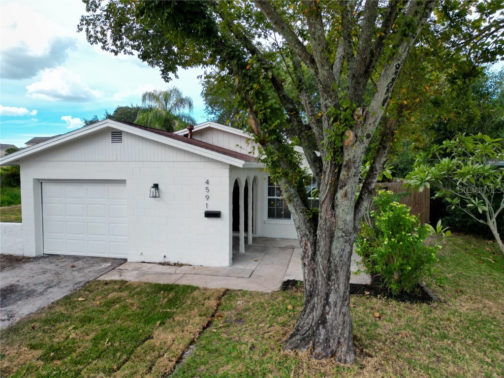 4591 67th Ave N Pinellas Park FL 33781 T3480810 image1