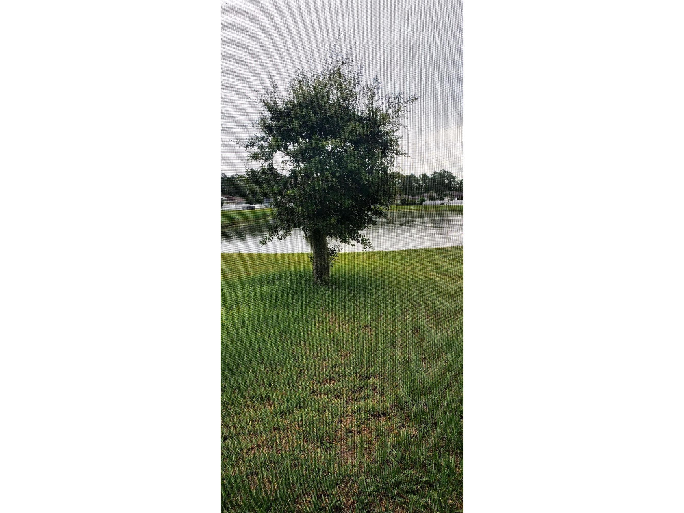 4592 Big Island Drive Kissimmee FL 34746 S5150523 image15