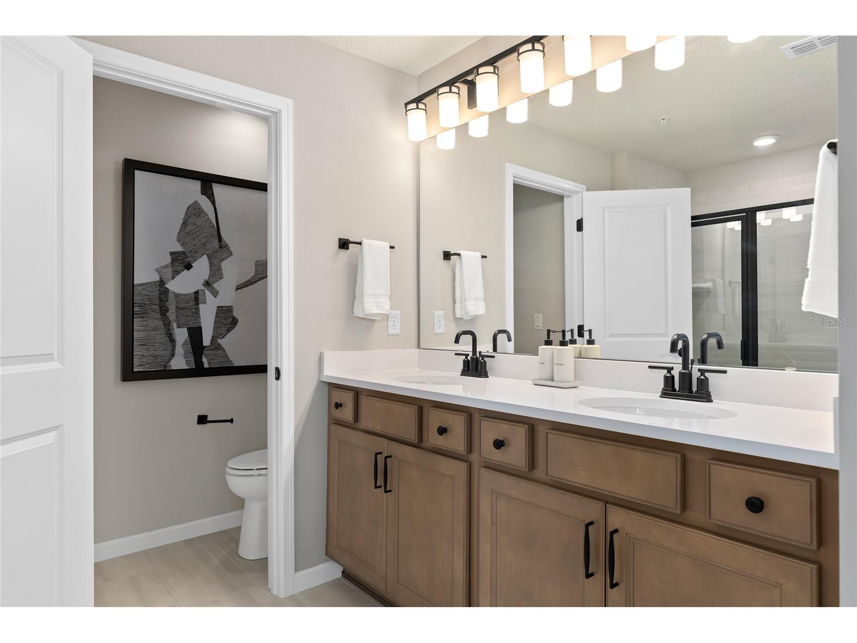4592 Orchard View Alley Clermont FL 34714 O6408291 image24