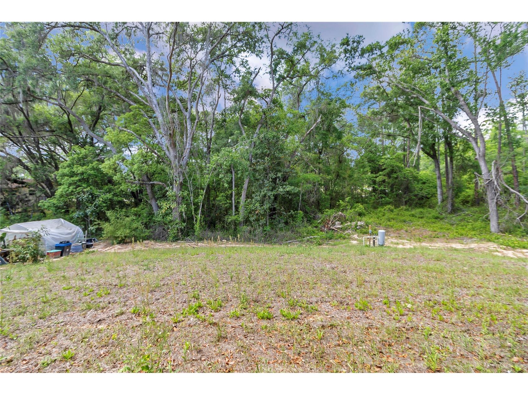 4592 SW Channel Heights Court Dunnellon FL 34431 O6386428 image6