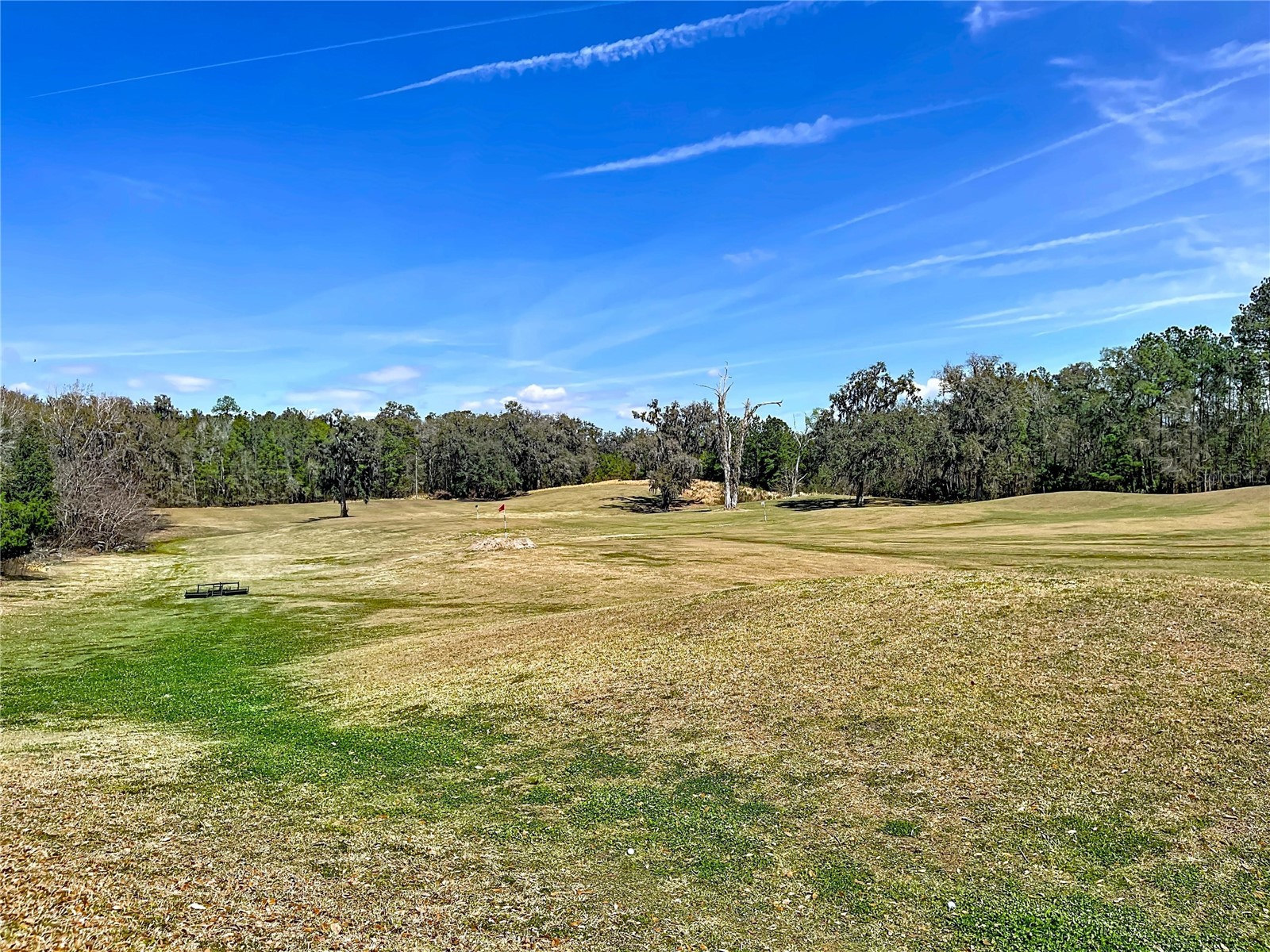 4594 Lisette Circle Brooksville FL 34604 TB8479447 image62