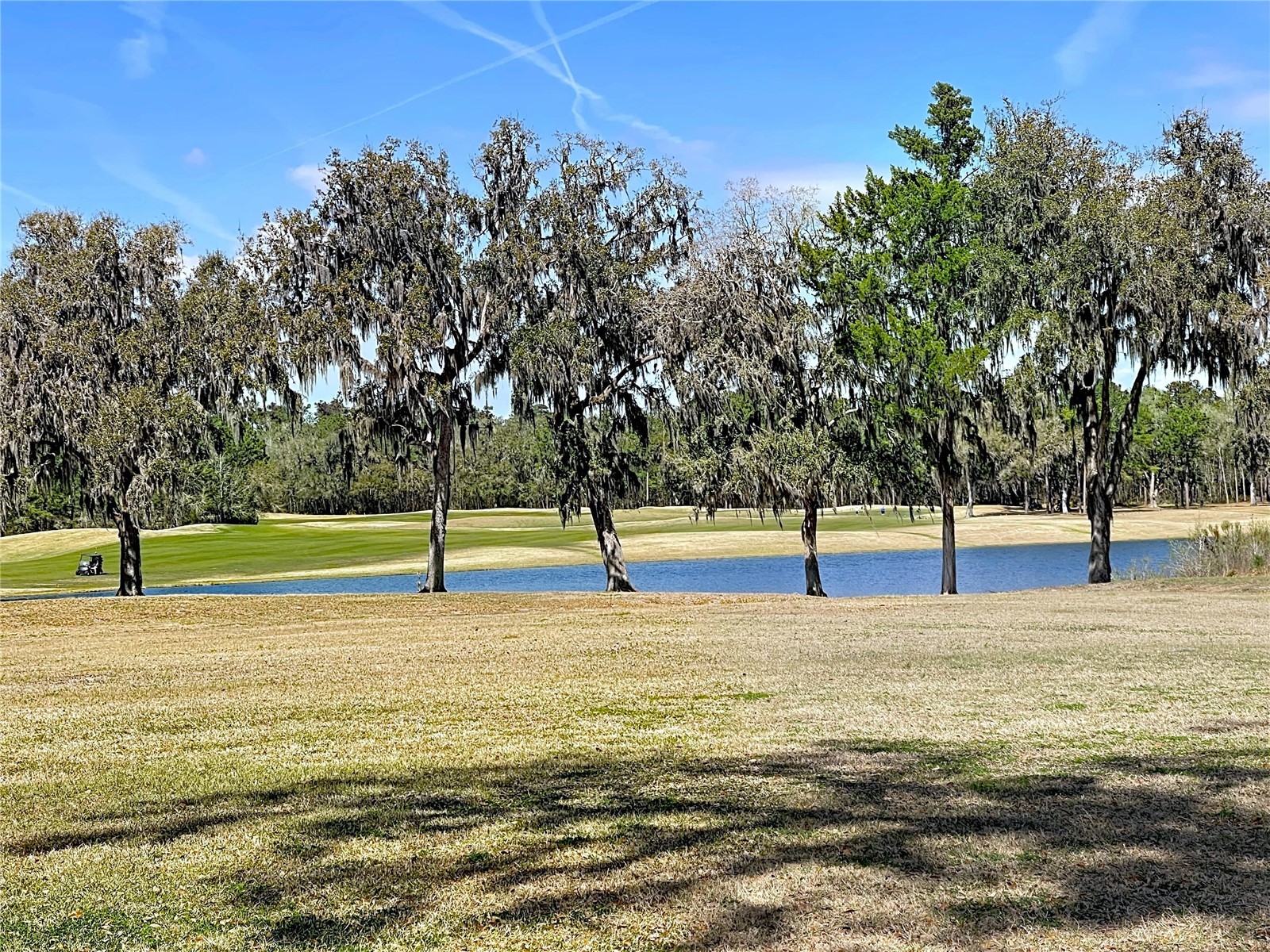 4594 Lisette Circle Brooksville FL 34604 TB8479447 image63