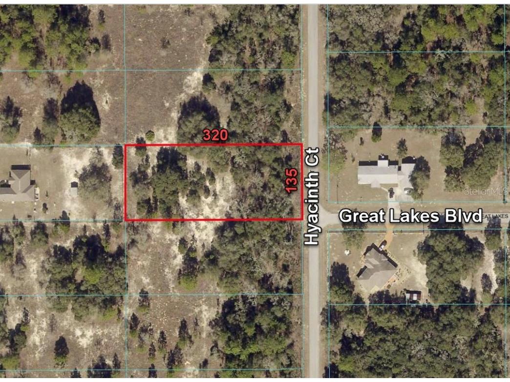 4594 SW Hyacinth Court Dunnellon FL 34431 O6138183 image1