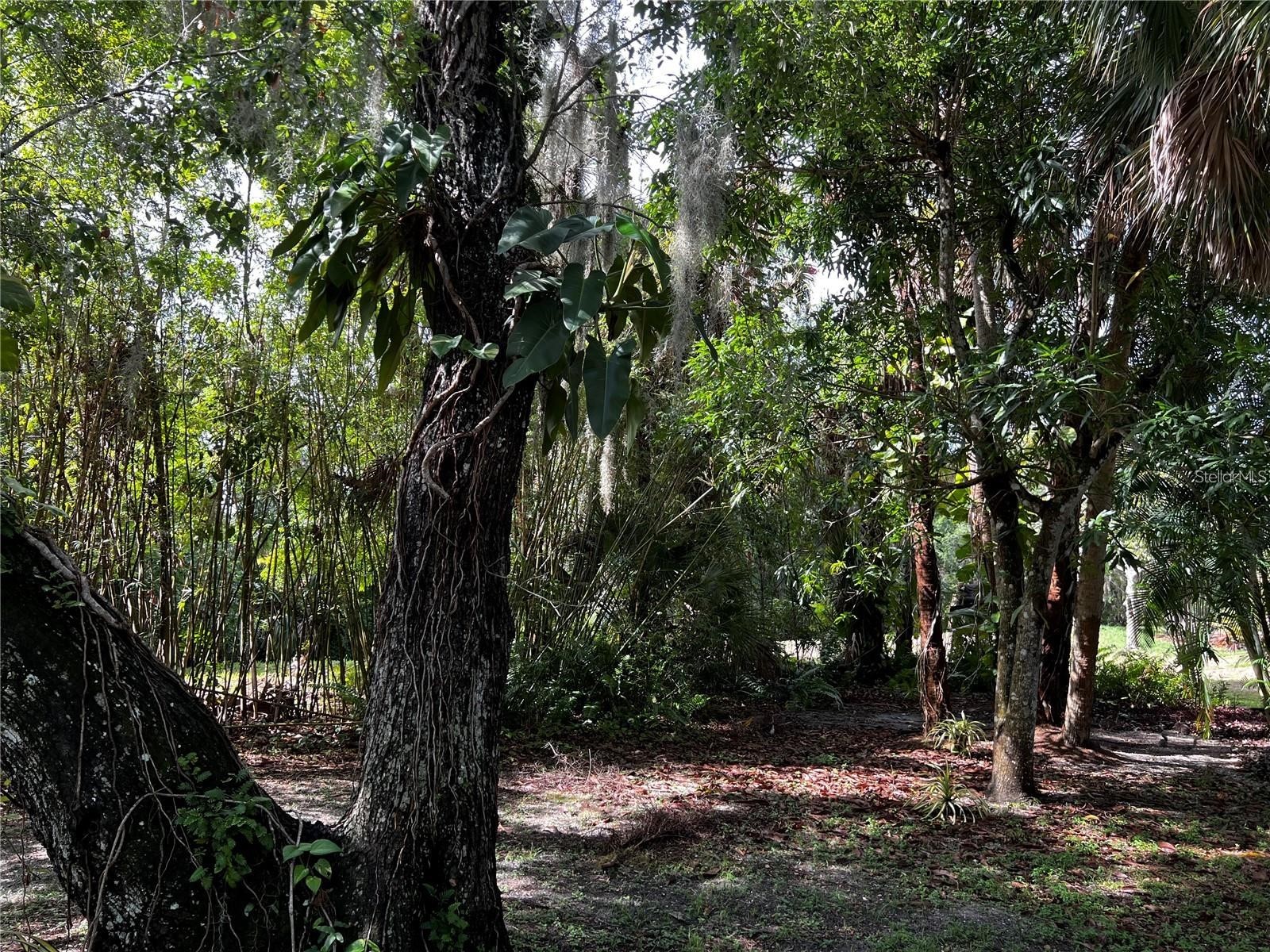 4594 Trails Drive Sarasota FL 34232 A4692424 image48