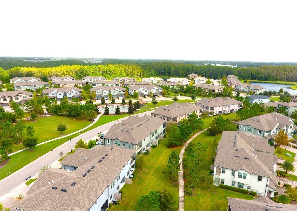 4596 Almada Lane Wesley Chapel FL 33543 TB8437166 image24