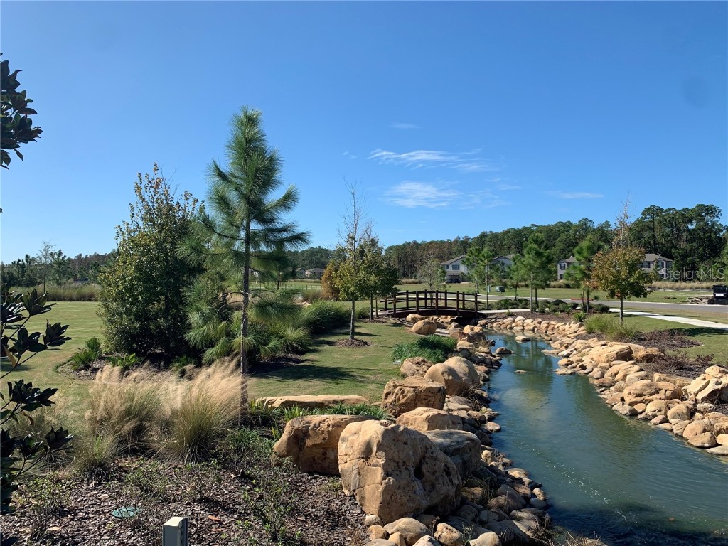 4596 Almada Lane Wesley Chapel FL 33543 TB8437166 image46