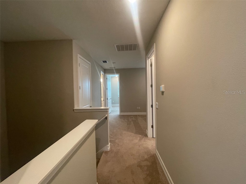 4596 Almada Lane Wesley Chapel FL 33543 TB8437166 image8