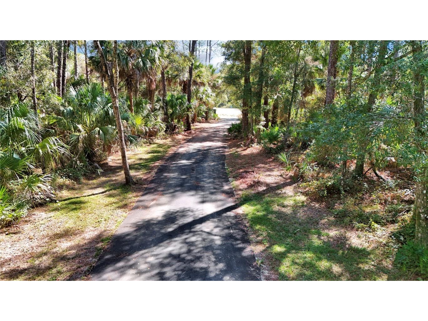 4599 N Williams Avenue Crystal River FL 34428 O6350417 image4