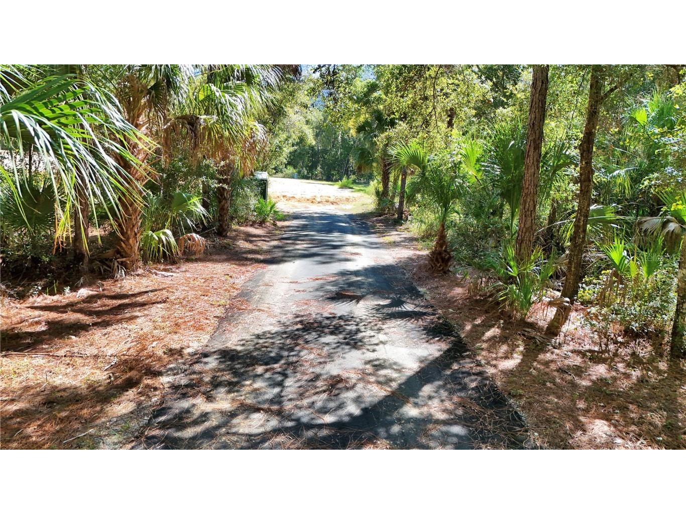 4599 N Williams Avenue Crystal River FL 34428 O6350417 image5