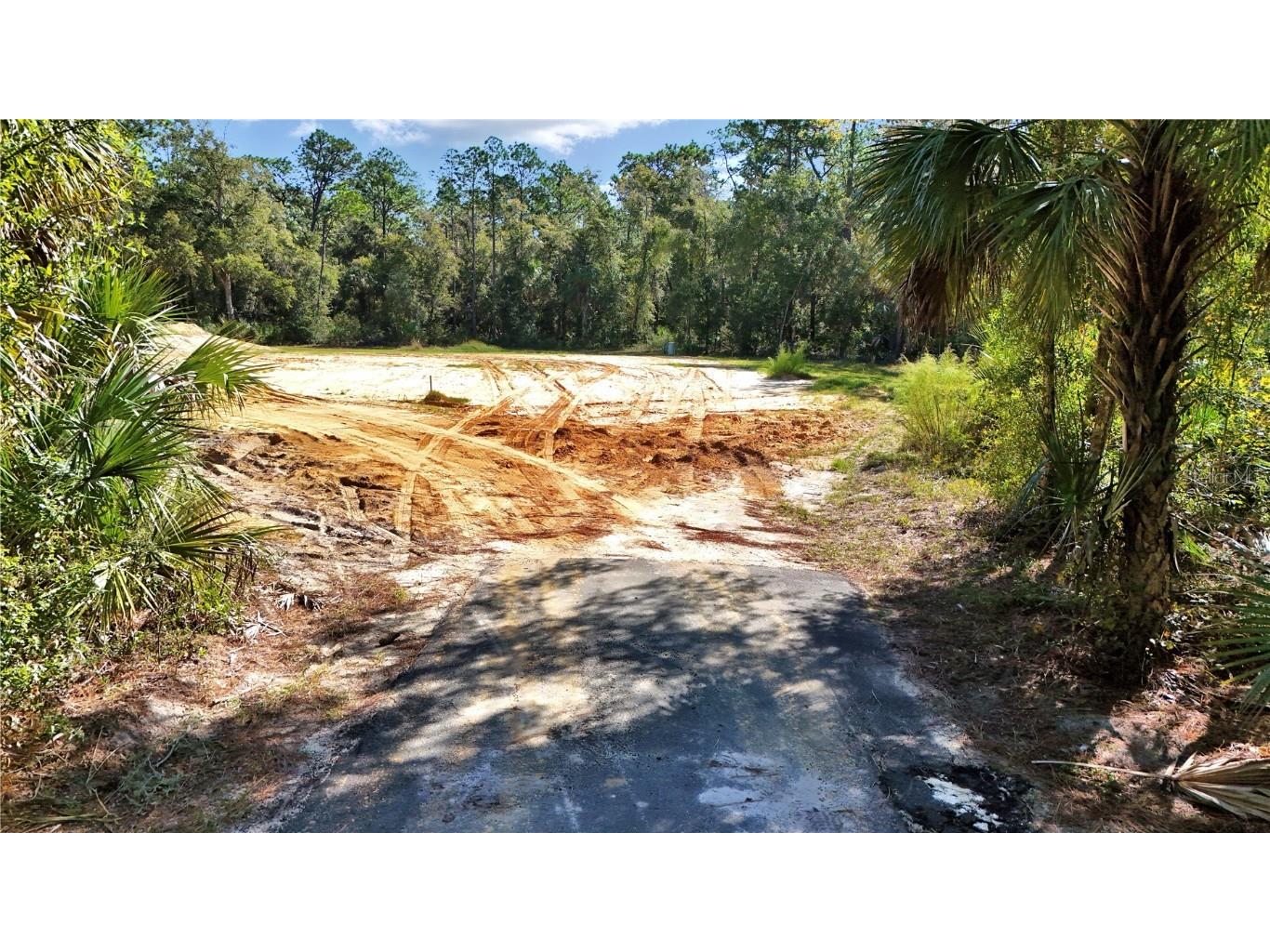 4599 N Williams Avenue Crystal River FL 34428 O6350417 image6