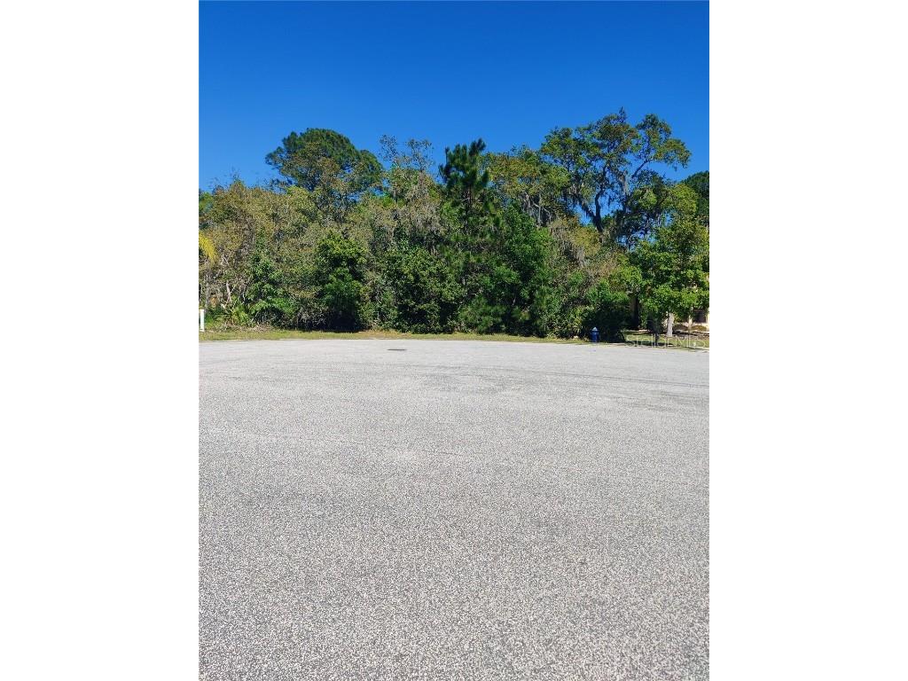 46 Creekside Drive Palm Coast FL 32137 FC289425 image1