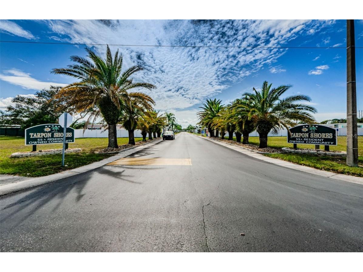 46 Drury Lane Tarpon Springs FL 34689 TB8447903 image42