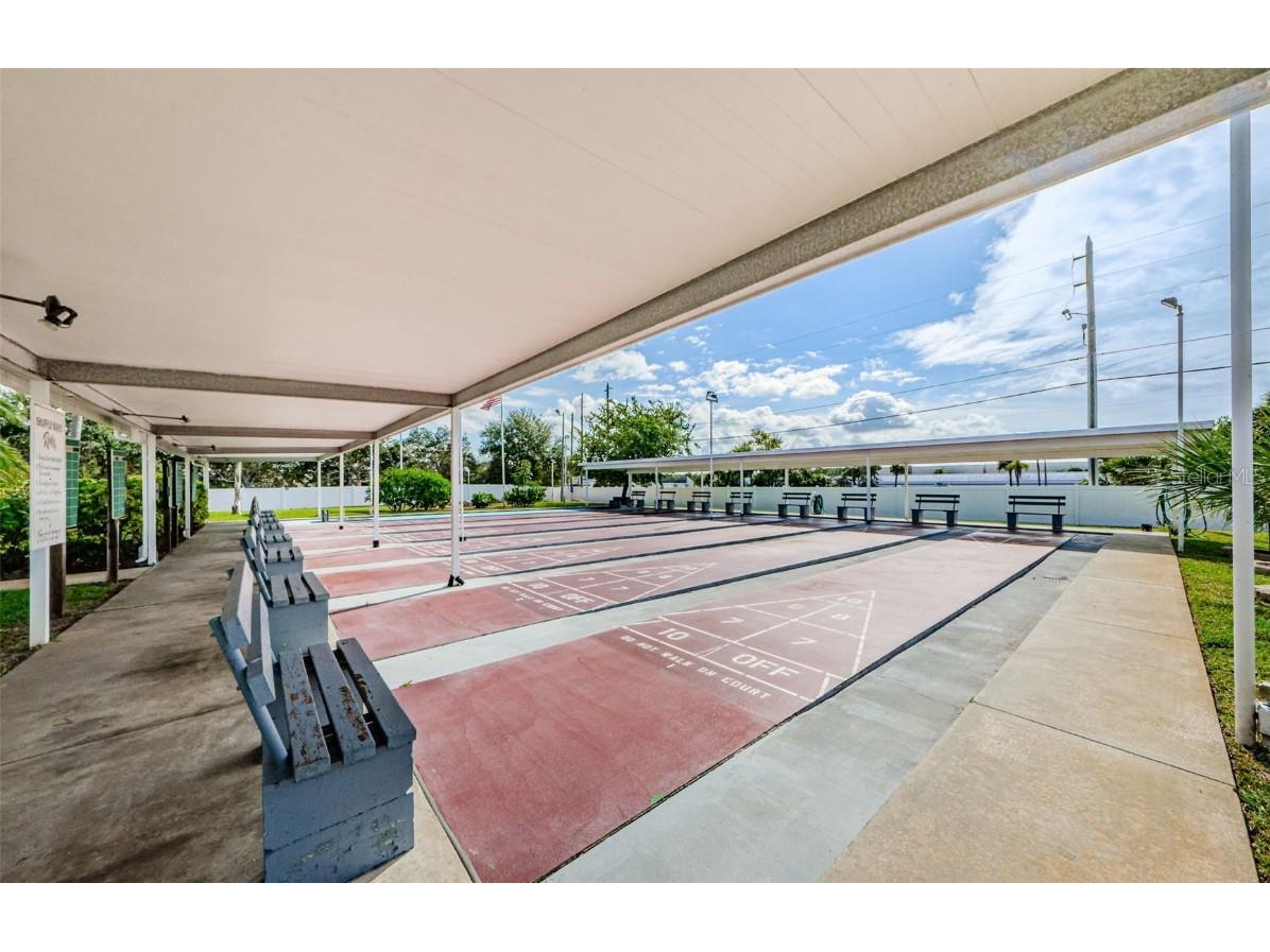 46 Drury Lane Tarpon Springs FL 34689 TB8447903 image52