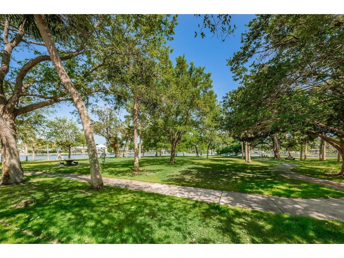 46 Drury Lane Tarpon Springs FL 34689 TB8447903 image56