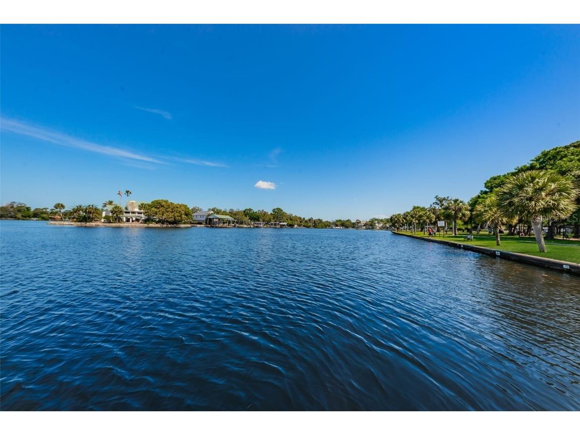 46 Drury Lane Tarpon Springs FL 34689 TB8447903 image61