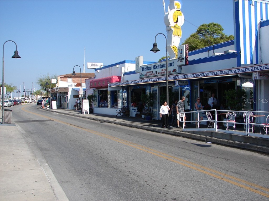 46 Drury Lane Tarpon Springs FL 34689 TB8447903 image66