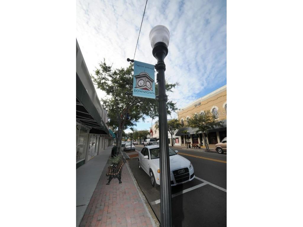 46 Drury Lane Tarpon Springs FL 34689 TB8447903 image73