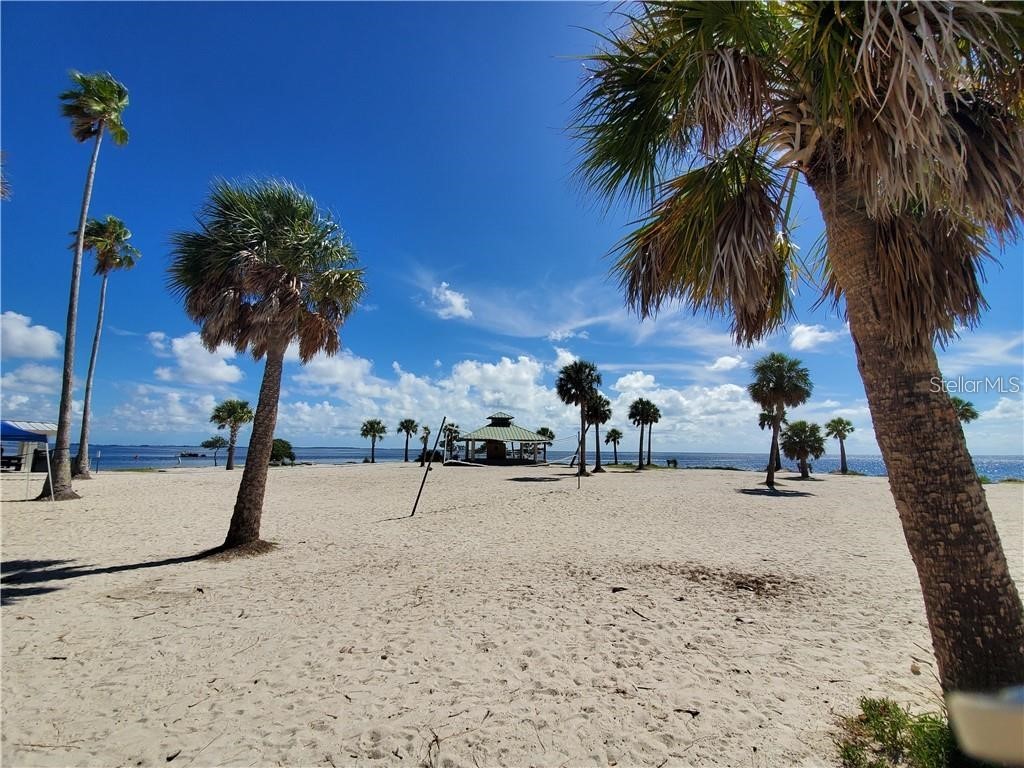 46 Drury Lane Tarpon Springs FL 34689 TB8447903 image80